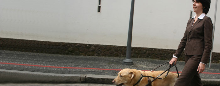 Blind woman with seeing eye dog walking on street