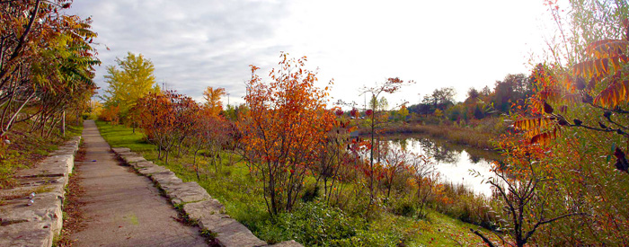 Living Green - Storm Pond