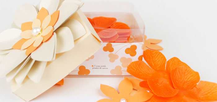 Award winning graphic design for packaging