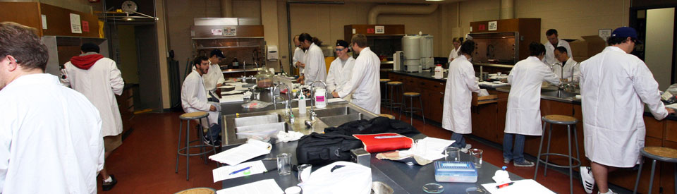 School of Science and Engineering Technology