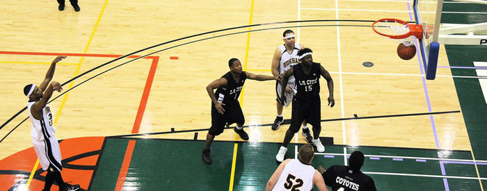 sports-and-recreation-banner